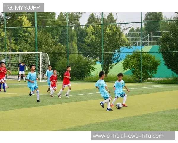 足球小将危险之旅：勇闯绿茵场的挑战与成长故事